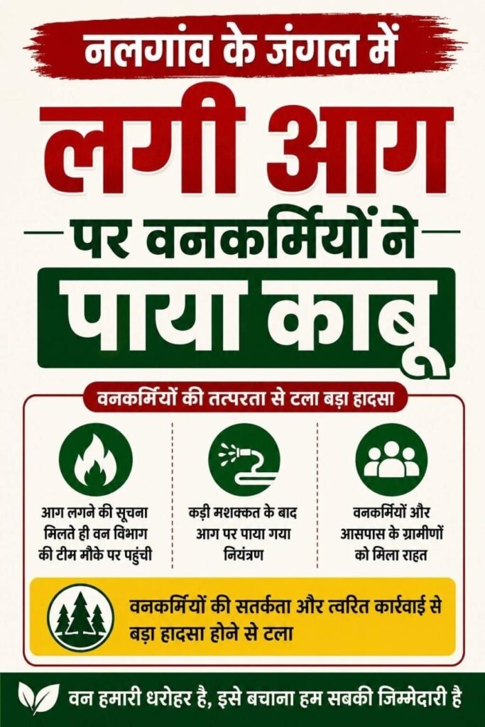नलगांव के जंगल में लगी आग पर वनकर्मियों ने पाया काबू