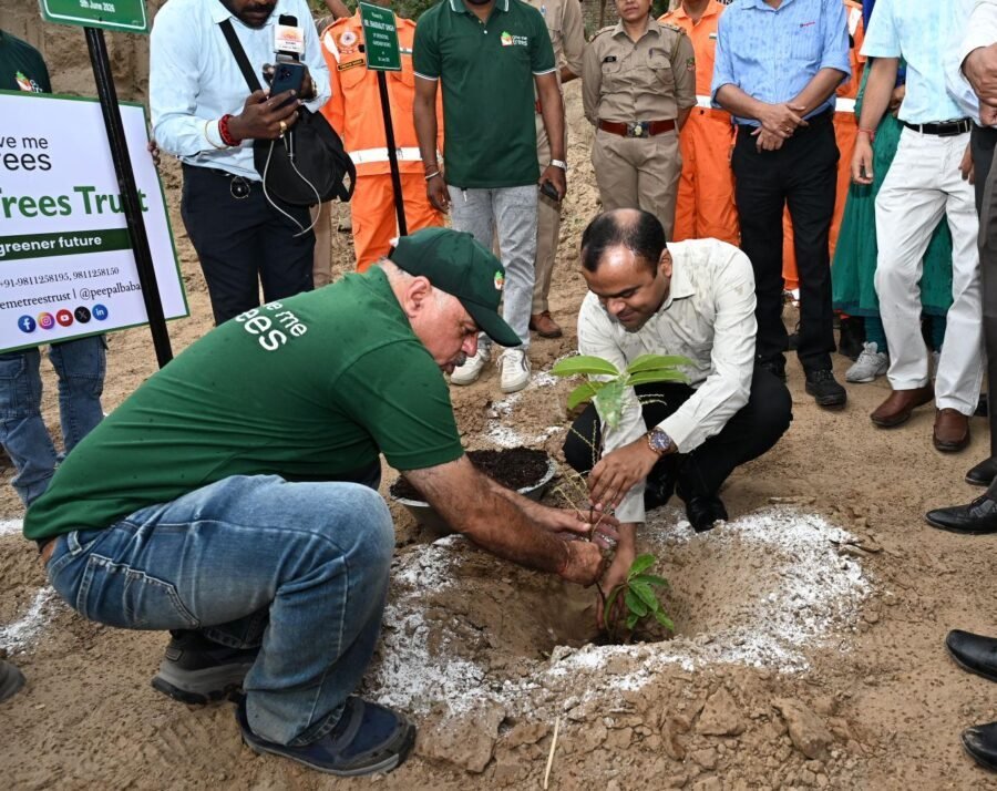 विश्व पर्यावरण दिवस पर हरित हरिद्वार मुहिम को मिली नई ऊर्जा, डीएम मयूर दीक्षित ने किया रुद्राक्ष का पौधरोपण